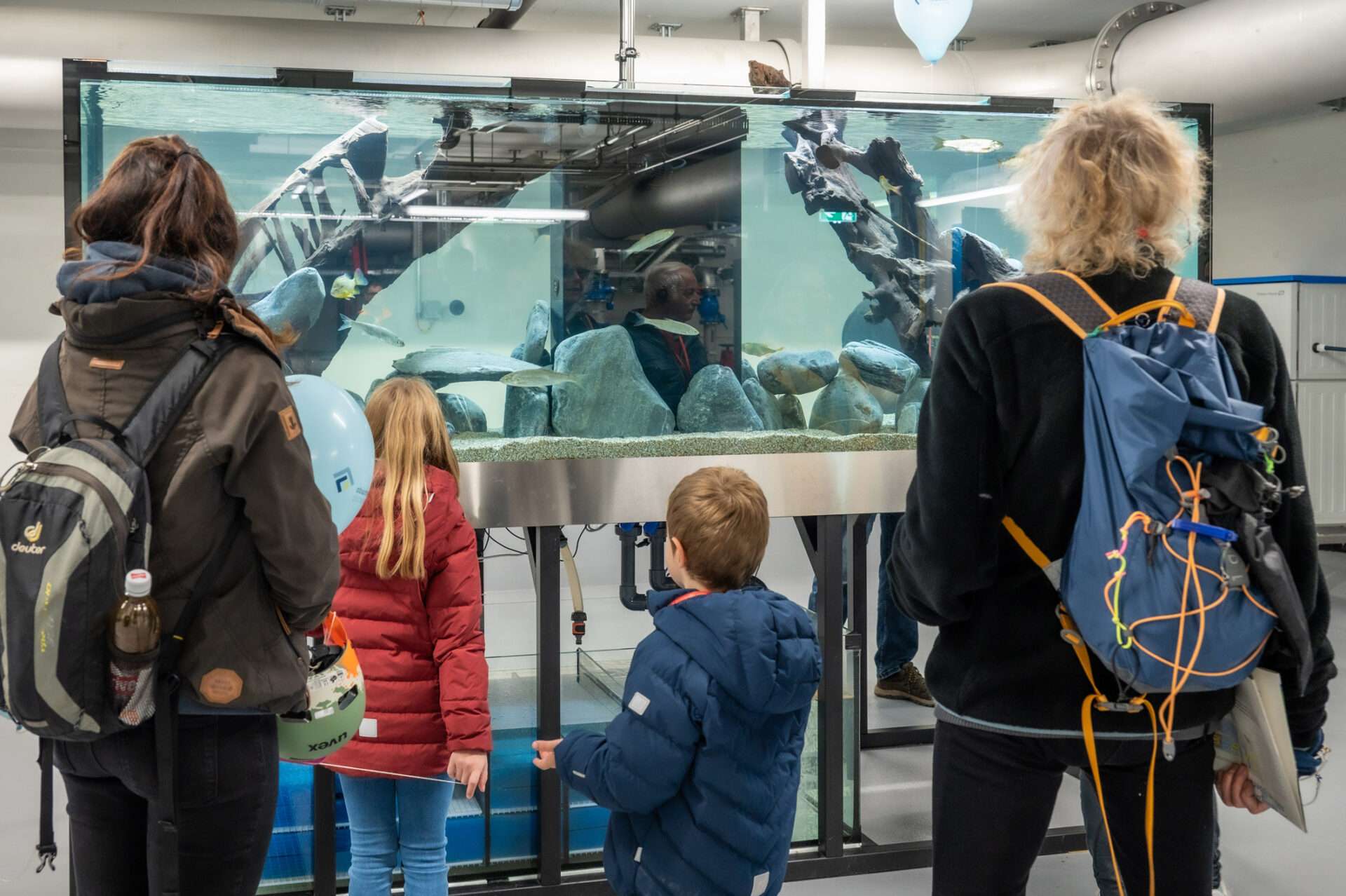 Besucher bestaunen die Fische im Aquarium